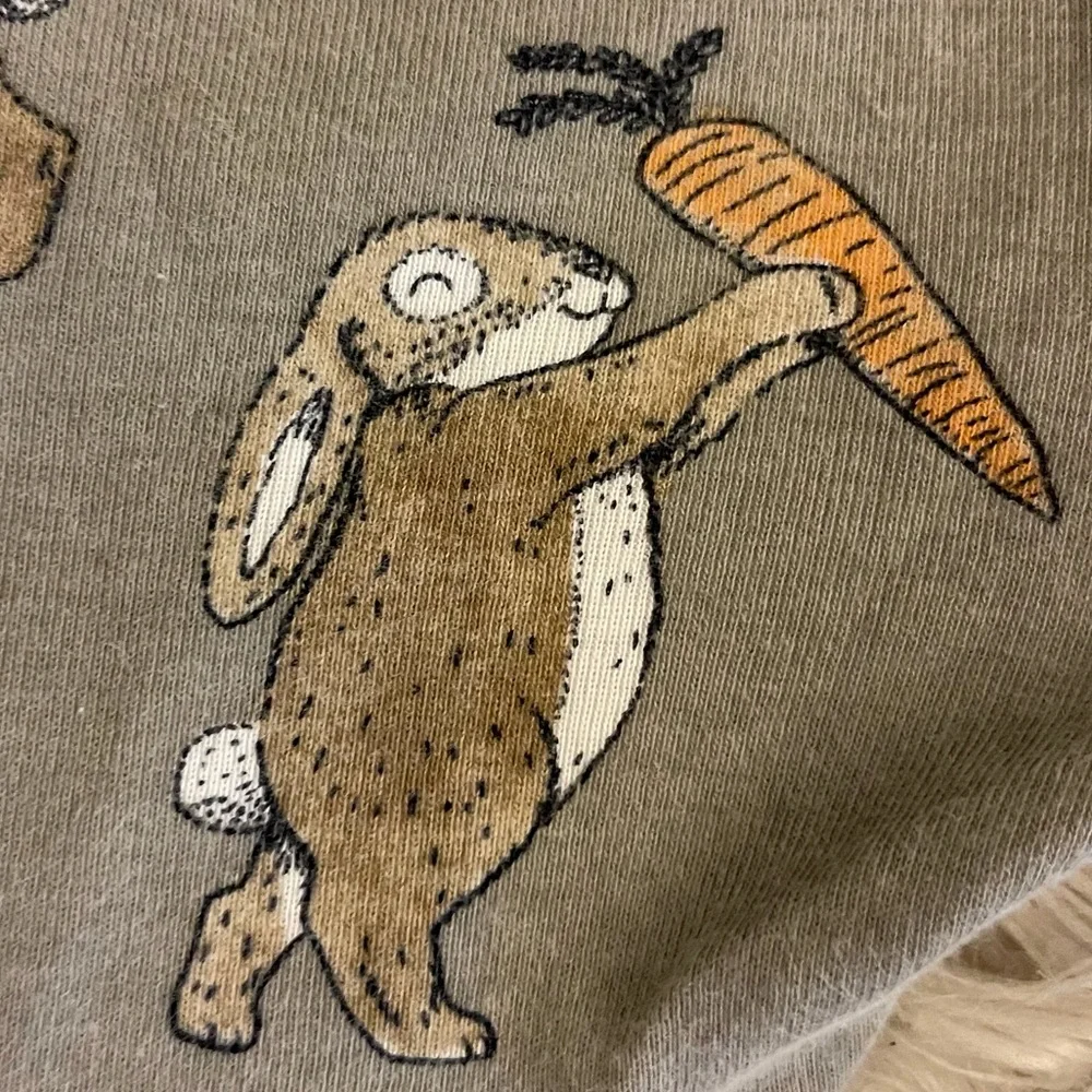 🐰 Carter’s | Bunny jammies | 2T - Picture 2 of 11